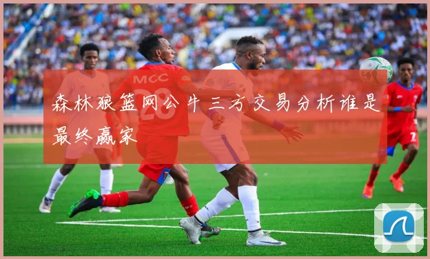 森林狼篮网公牛三方交易分析谁是最终赢家