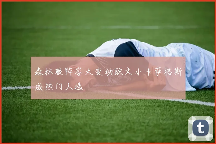森林狼阵容大变动欧文小卡萨格斯成热门人选