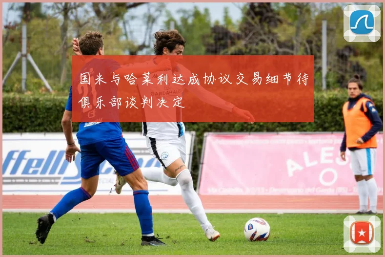 国米与哈莱利达成协议交易细节待俱乐部谈判决定